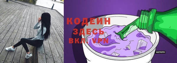 индика Вязьма