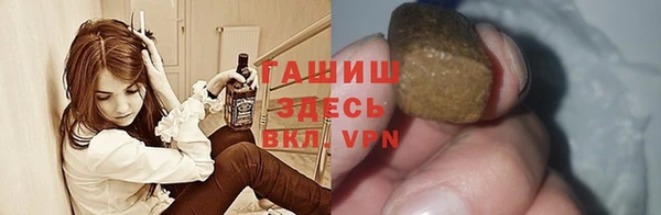 индика Вязьма