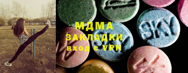 индика Вязьма