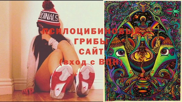 индика Вязьма