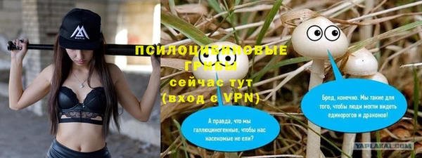индика Вязьма