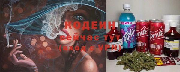 2c-b Вяземский